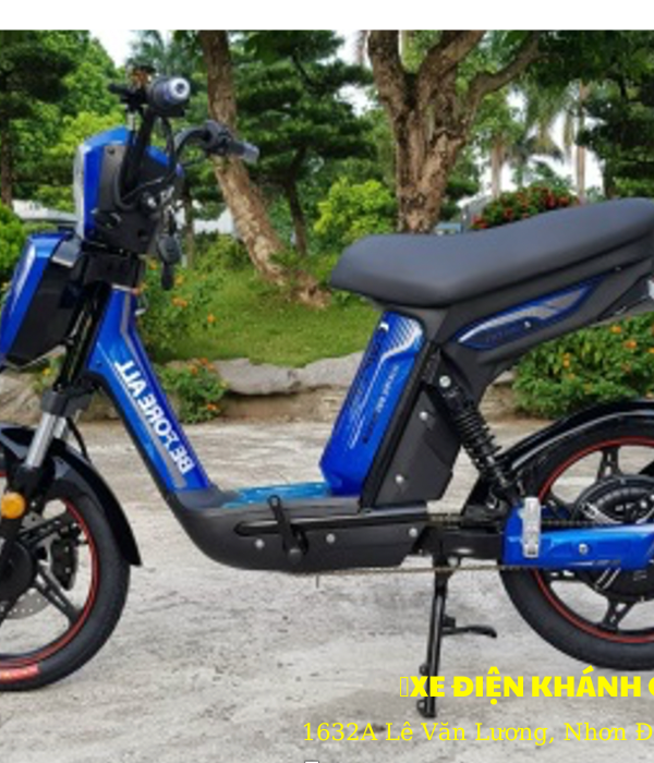 Xe đạp điện CAPTIN