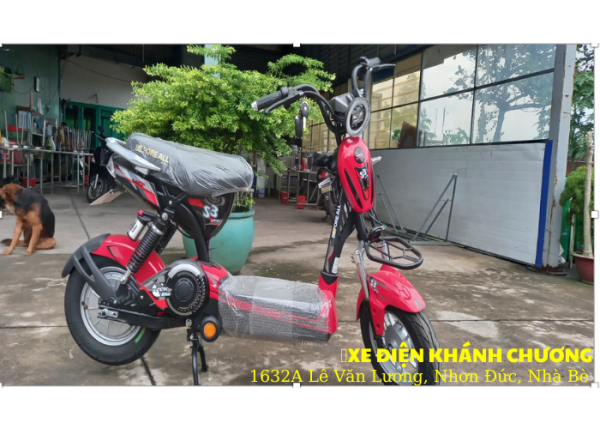 Xe đạp điện S3 PRO