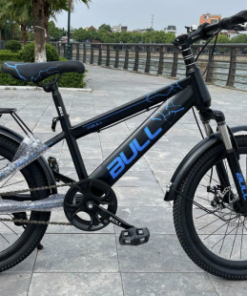 Xe đạp trẻ em thể thao Bull B1