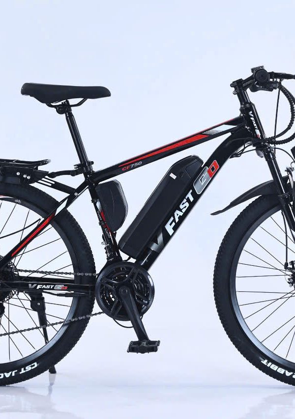 Xe Đạp Trợ Lực Điện V Fast Go