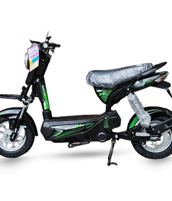 XE MÁY ĐIỆN MICHI H2
