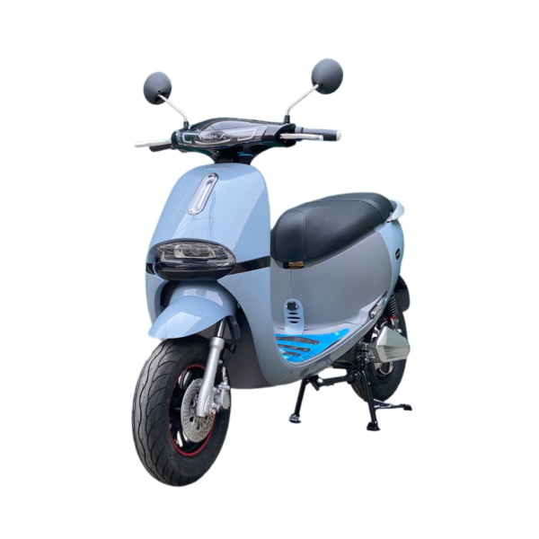 XE MÁY ĐIỆN MICHI GOGO S8