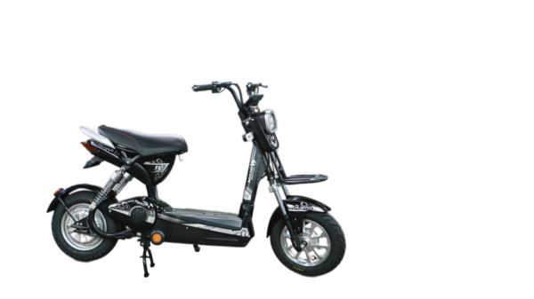XE ĐIỆN MICHI V9