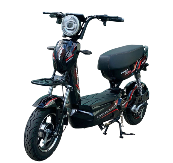 XE ĐIỆN FAST GO