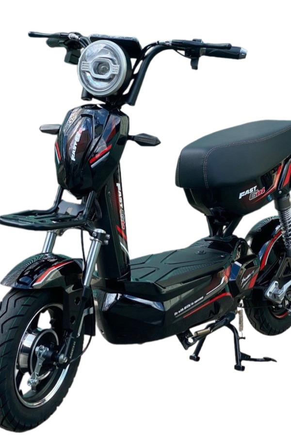 XE ĐIỆN FAST GO