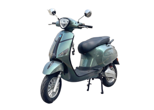XE MÁY ĐIỆN MICHI V