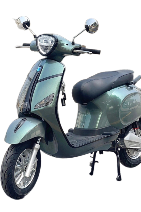 XE MÁY ĐIỆN MICHI V